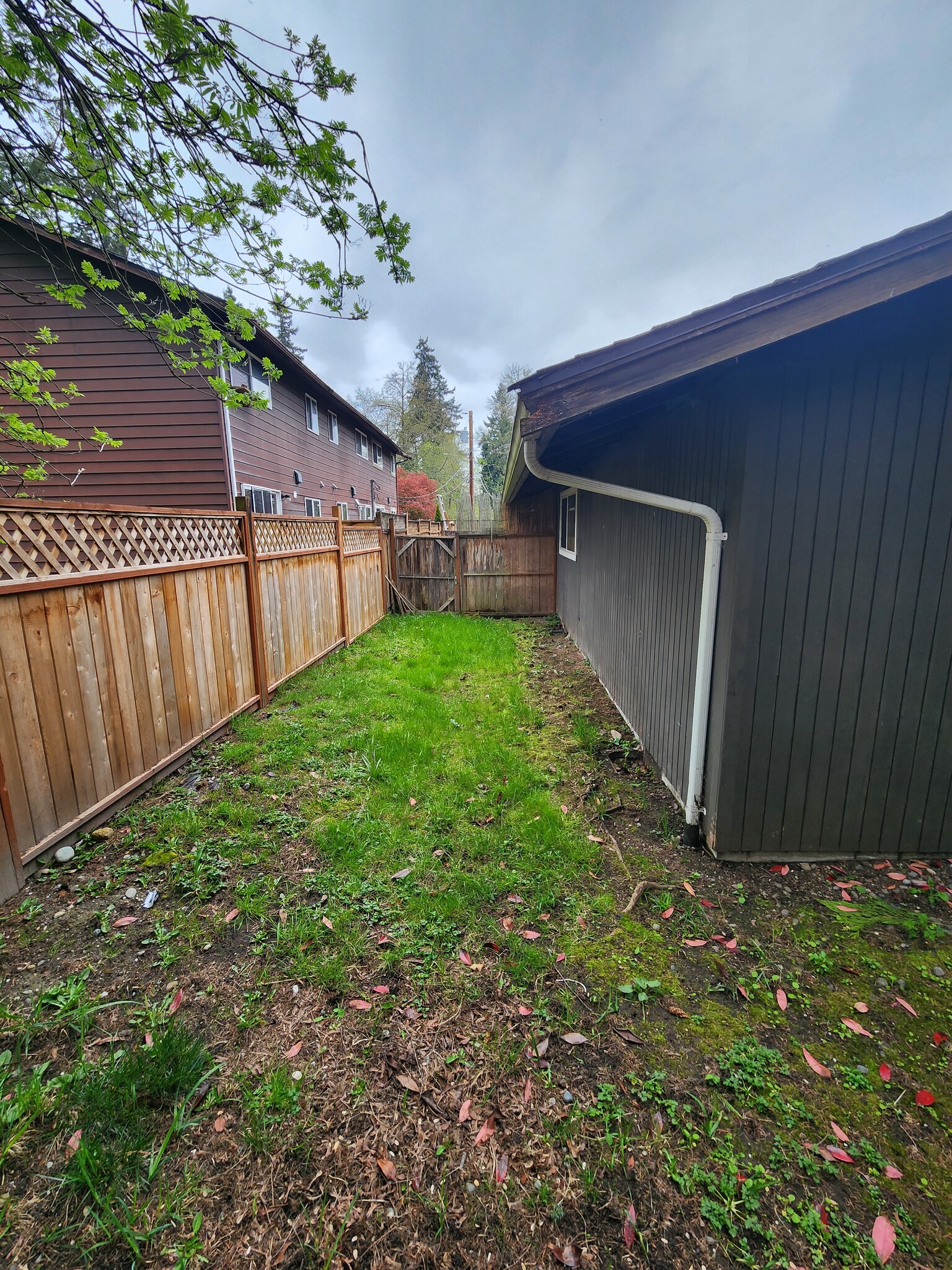Back yard - 18116 54th Pl W
