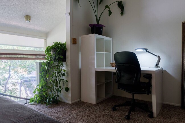 Building Photo - Cozy 1B/1B Condo off Canyon in Downtown Boulder - Available May 8!