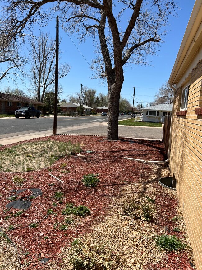 Building Photo - 1411 26th St