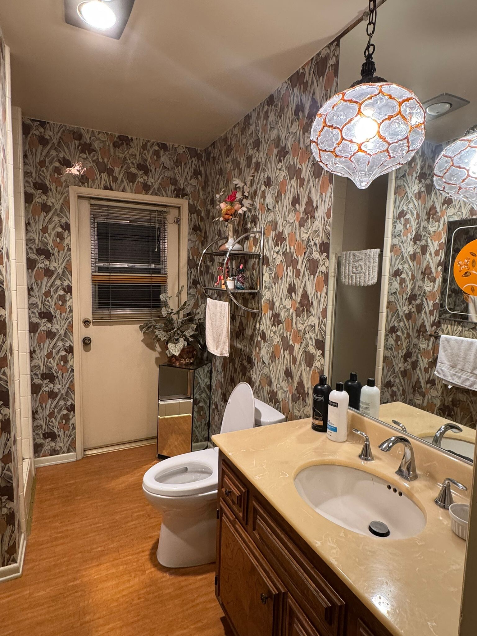 Downstairs bathroom - 6253 Warner Dr