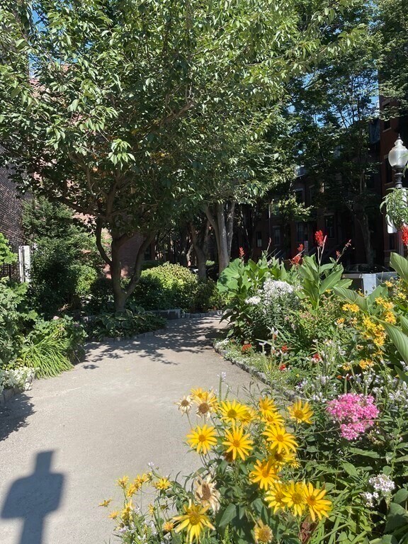 Building Photo - 565 Columbus Ave