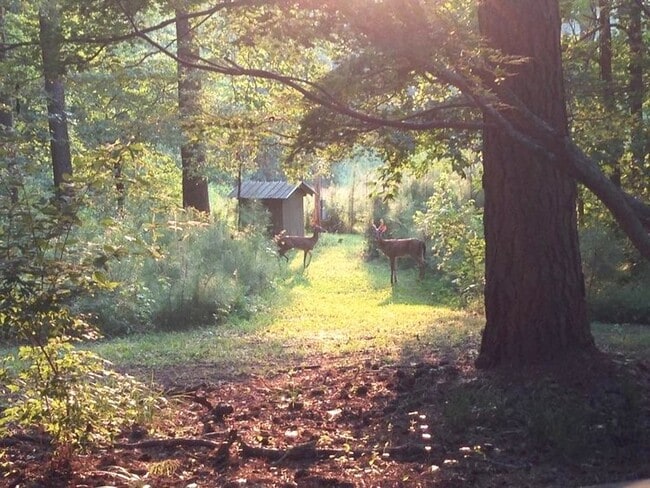 Building Photo - 104 Trinity Pond Road