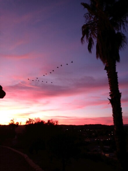Fall in Bonsall when geese return - 5819 Redondo Dr