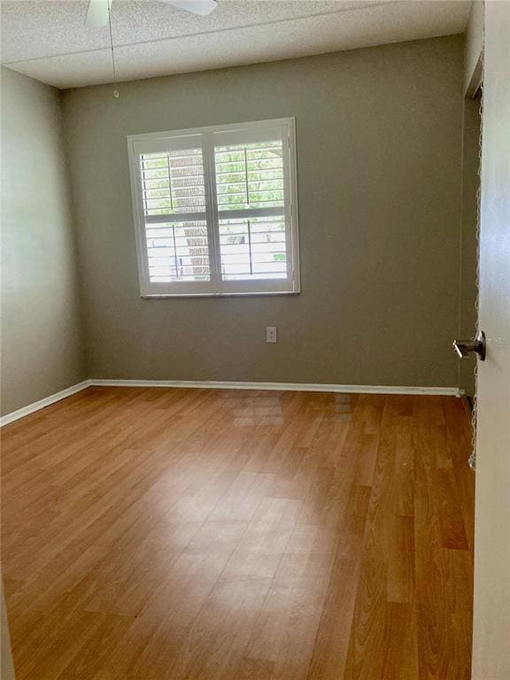 Building Photo - 211 Meadow Ln