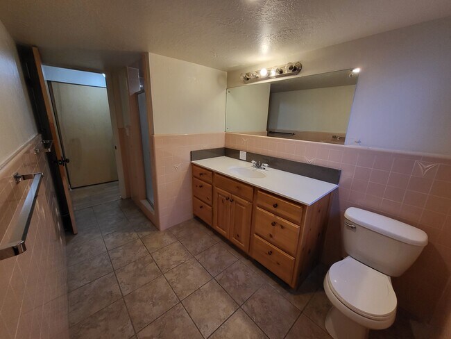 Bathroom-basement-2 - 1905 Saint Marys Dr