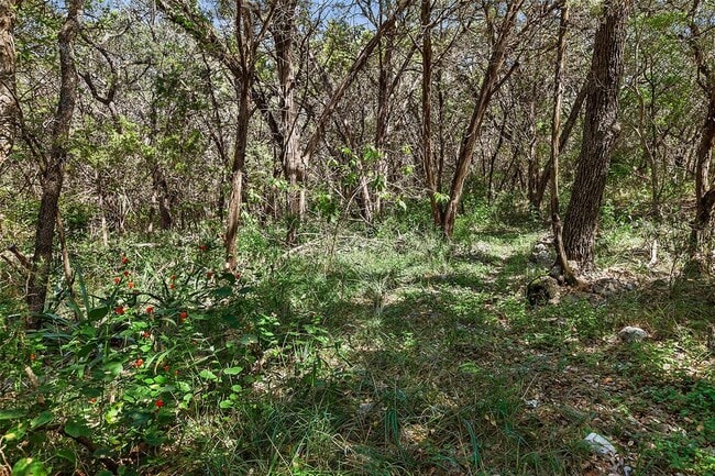 Building Photo - 4301 Stearn's Ln