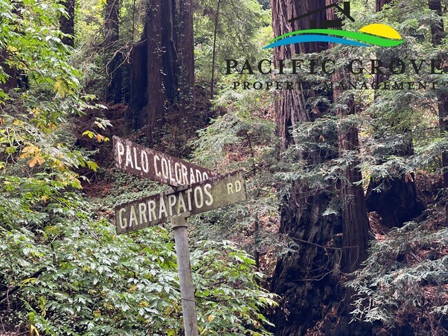 Building Photo - Cabin on Palo Colorado