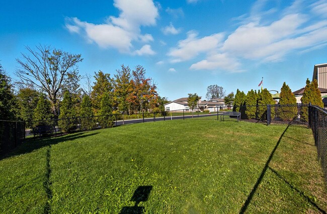 Building Photo - 933 Persimmon Ln