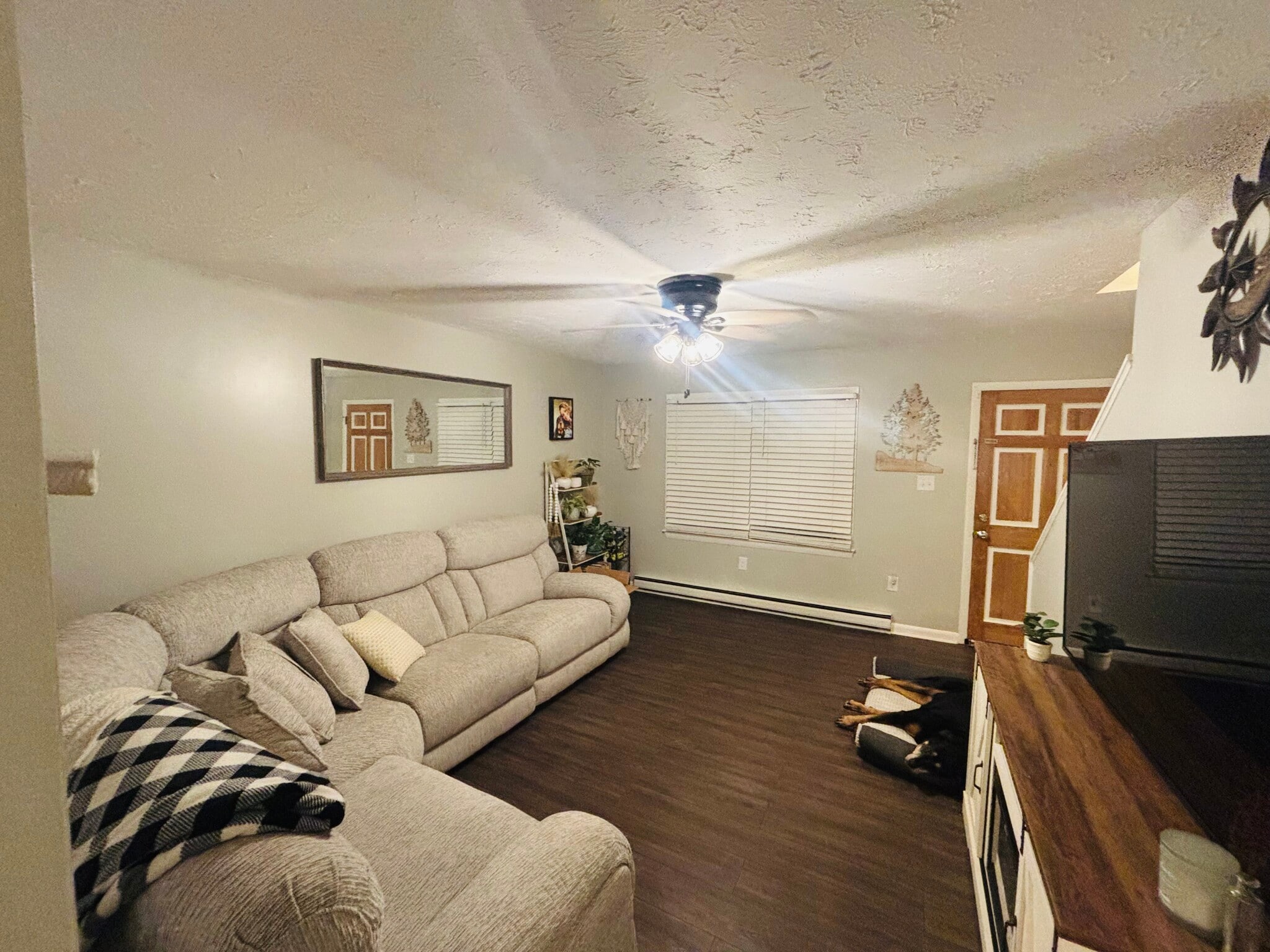 Living Room - 314 W 12th St