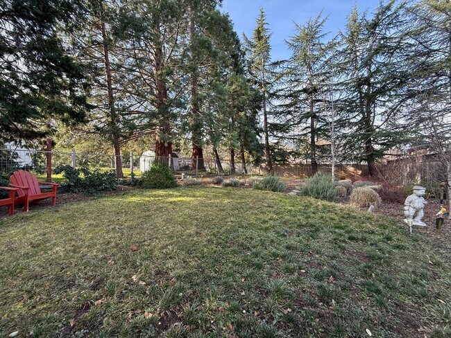 Building Photo - One bedroom/One Bath Apartment with outdoor space on quiet flag lot!  Available Now