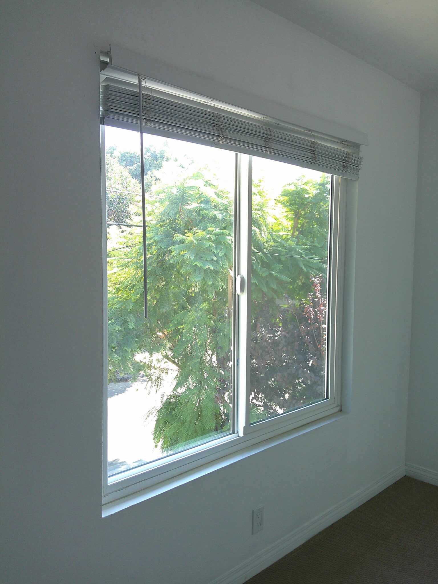 Bedroom 1 - 311 N Westlake Ave