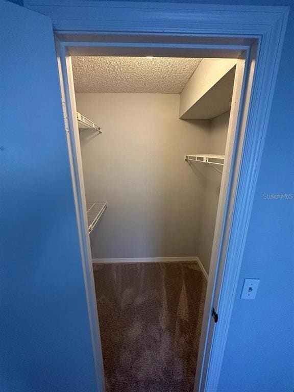 Building Photo - 5124 Conroy Rd