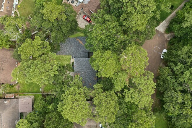 Building Photo - 553 Cane River Ln