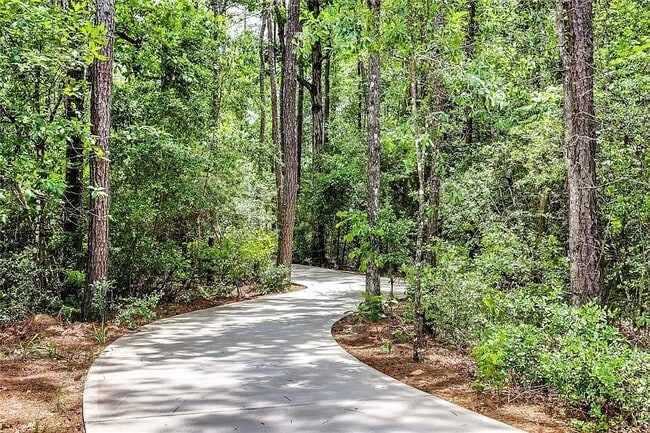 Building Photo - 1558 San Sebastien Dr