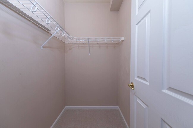 Building Photo - 1003 Rustads Cir