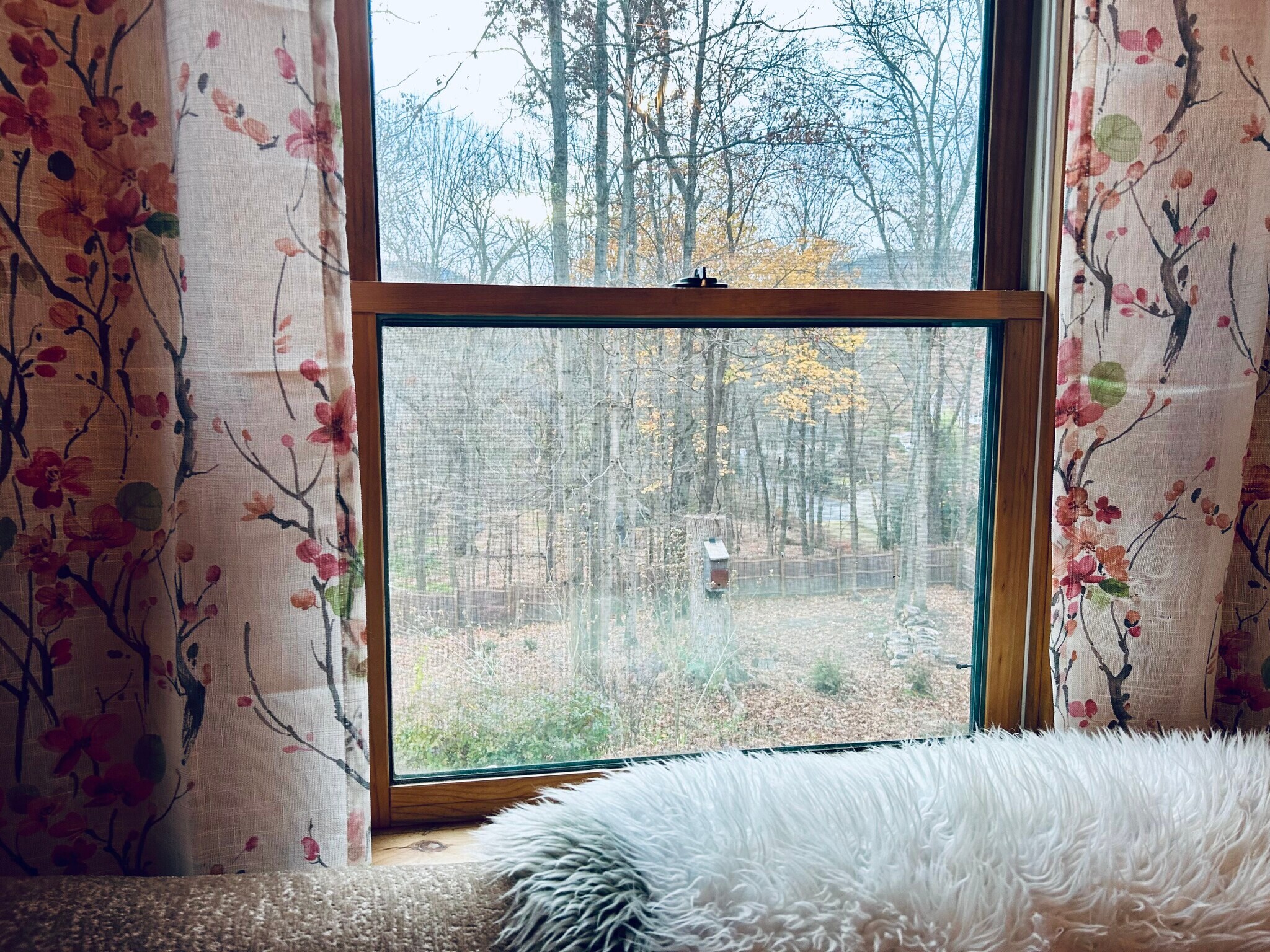 Building Photo - 93 Shepard Ave