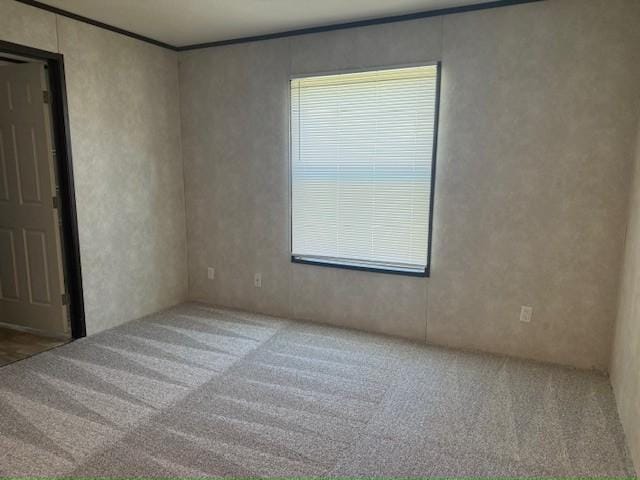 Building Photo - 415 Starling Ln