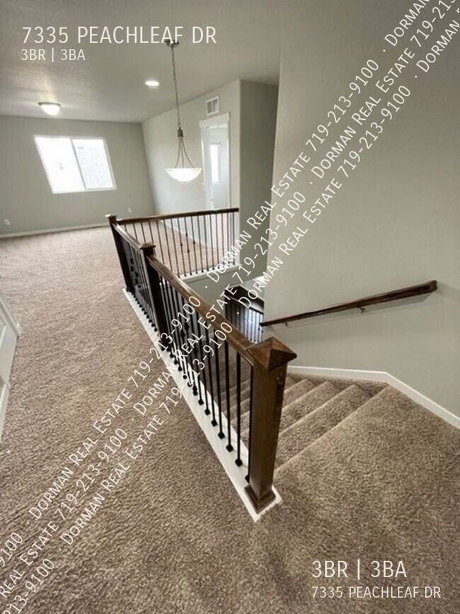 Building Photo - 7335 Peachleaf Dr