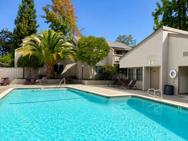 Building Photo - 997 Madrone Rd