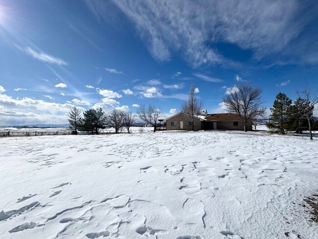 Building Photo - Beautiful Horse Property with Outbuildings...