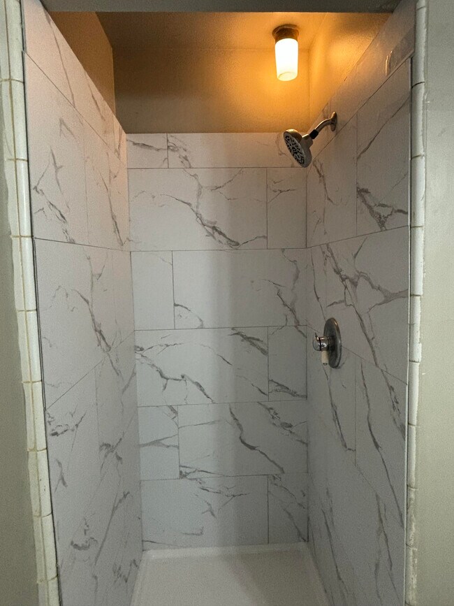 Master shower area - 33297 Kingslane Ct