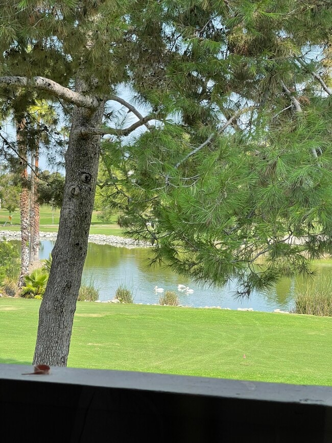 Building Photo - 14 Lago Norte