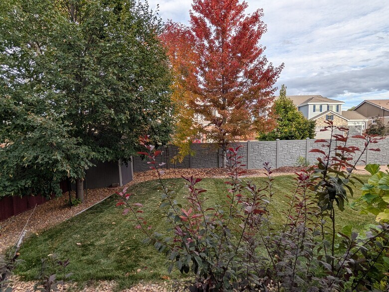 Building Photo - 12216 S Great Plain Way