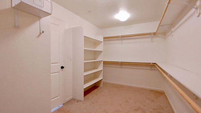 Building Photo - Beautiful Cedar Mills Home With An Easy Co...
