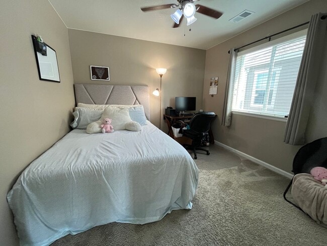 Building Photo - Beautiful Home in South Fort Collins