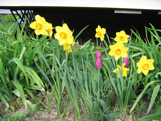 Building Photo - 236 Dunning St