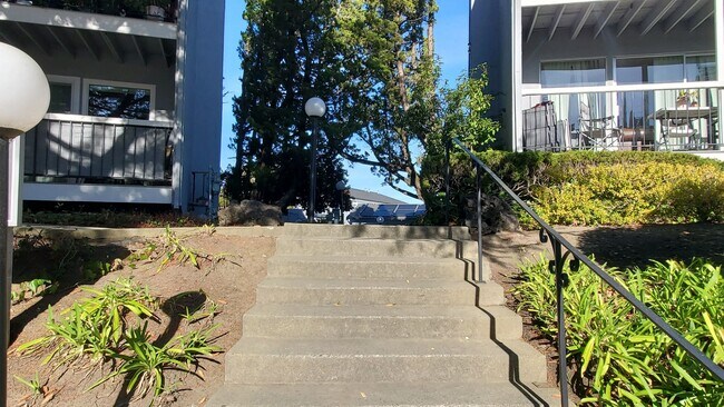 Building Photo - Spacious 2 Bedroom, 1 Bathroom Moraga Condo