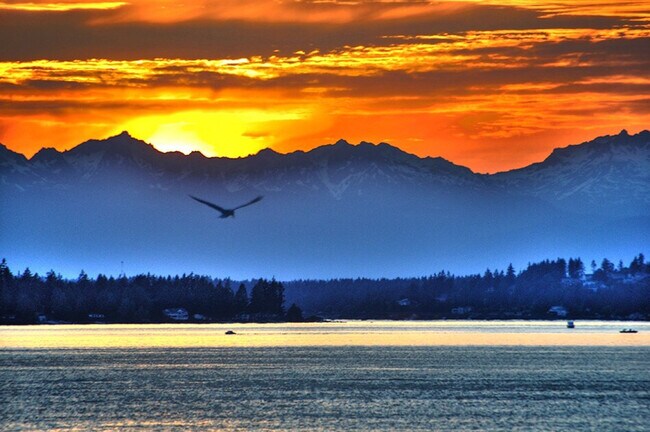 Building Photo - 4905-B Southwest Othello Street-SI ID1271726P