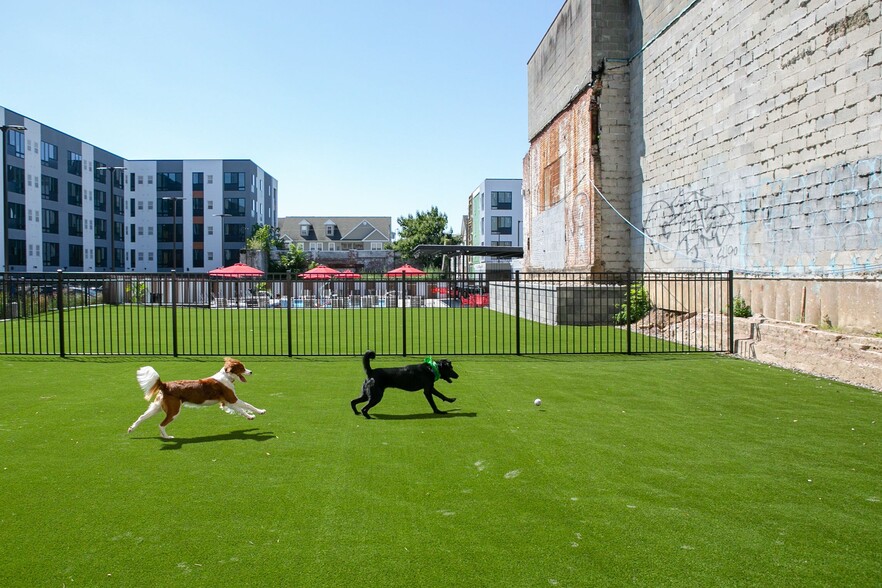 Pet Play Area - The Hub at 31 Brewerytown