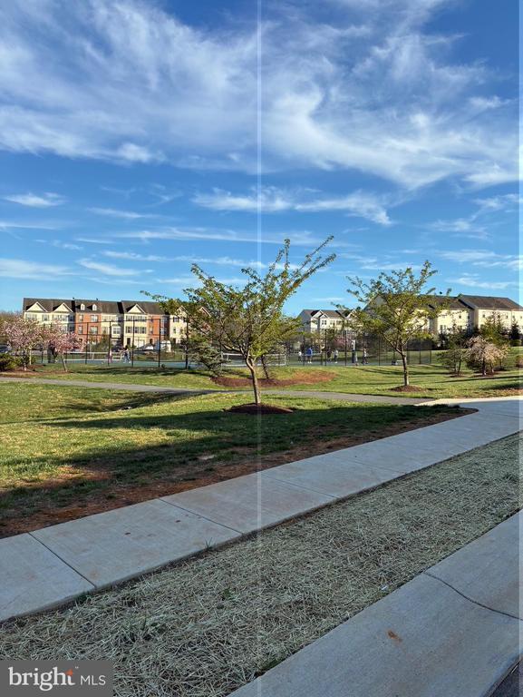 Building Photo - 473 Husky Trl