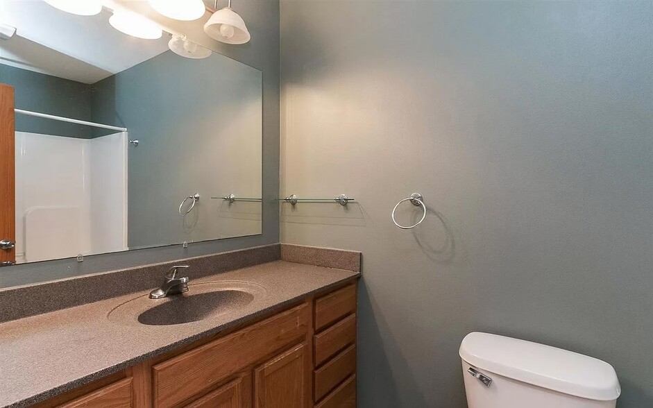 Master bathroom (full) - 248 Alydar Dr