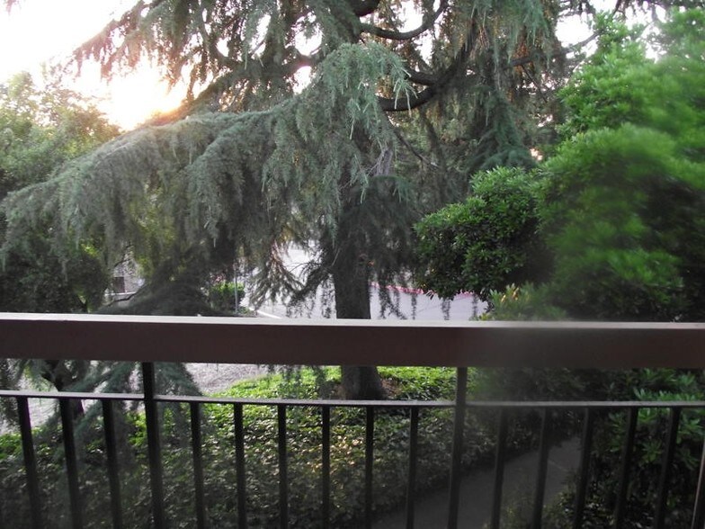 Sunset off patio through the trees - 9200 Madison Ave