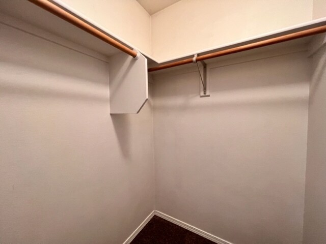 Building Photo - 2238 S Stephen Ave