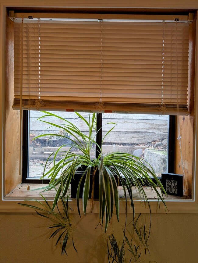 Building Photo - Fully furnished, short term 1 bedroom!