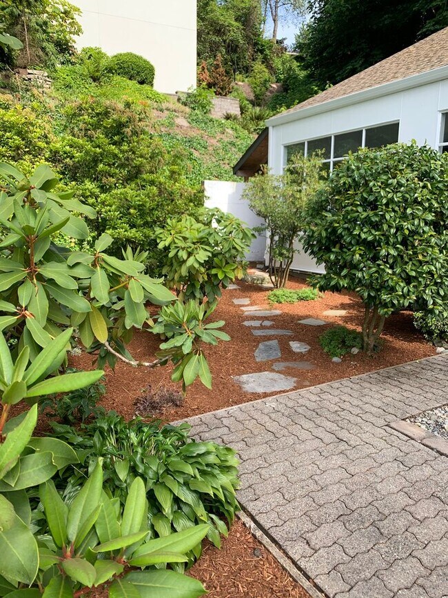 Building Photo - 4Bd/2.25Ba Medina House