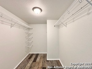 Building Photo - 12623 Carriage Blvd