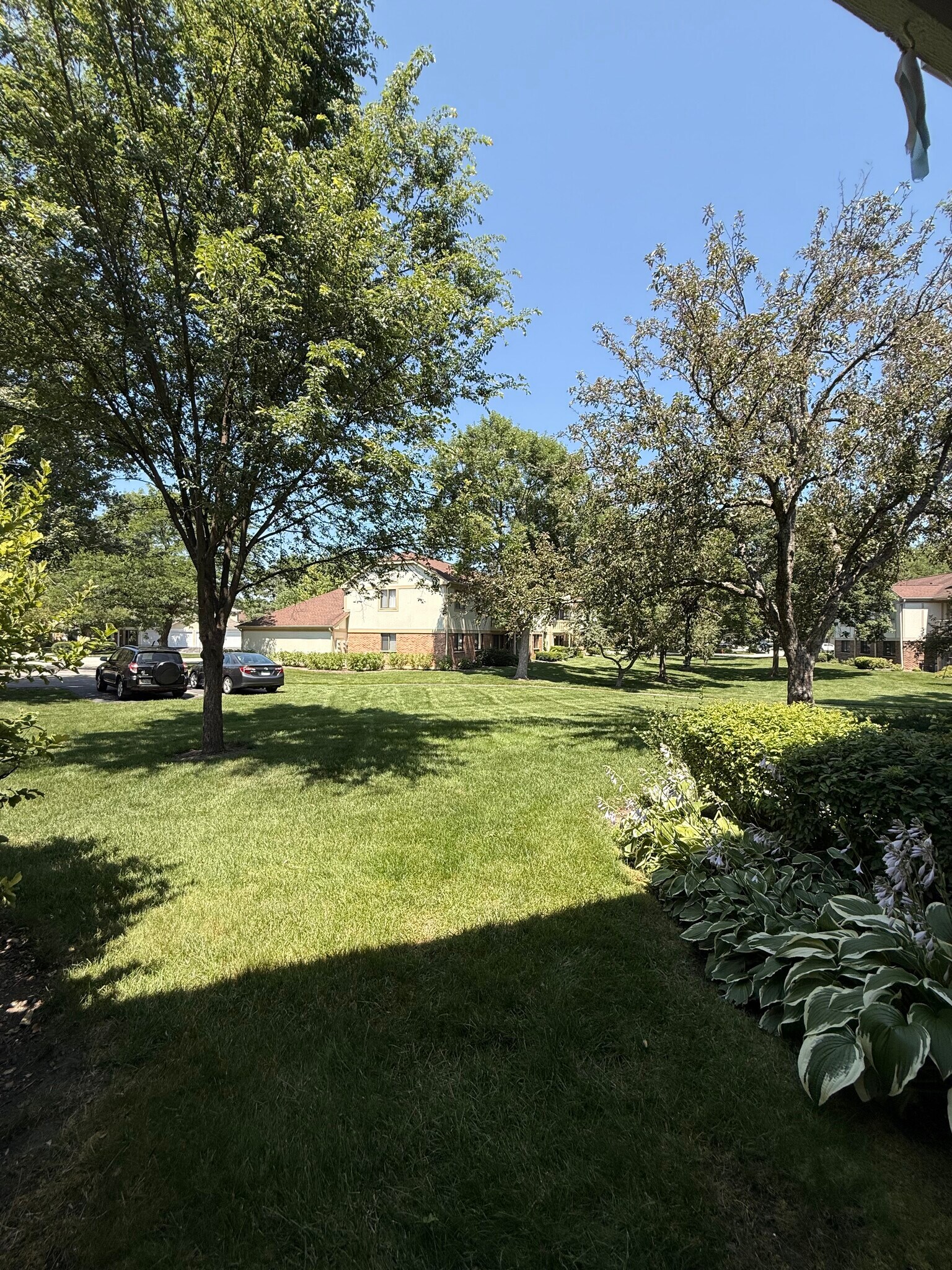 Building Photo - 1166 Middlebury Ln