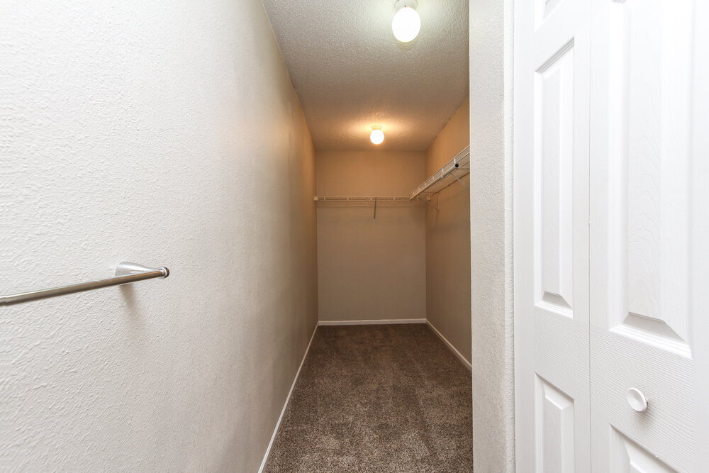 Building Photo - 1829 Blue Pine Ln
