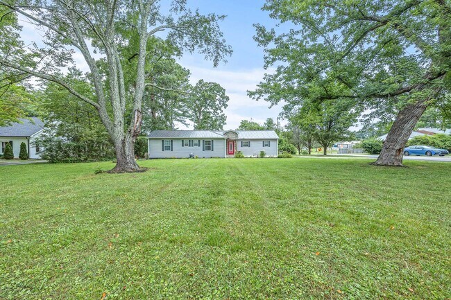 front yard - 1028 Womack Ave