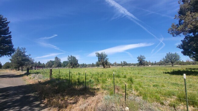 Building Photo - 4 bedroom 3 bath horse property- 6 acres i...