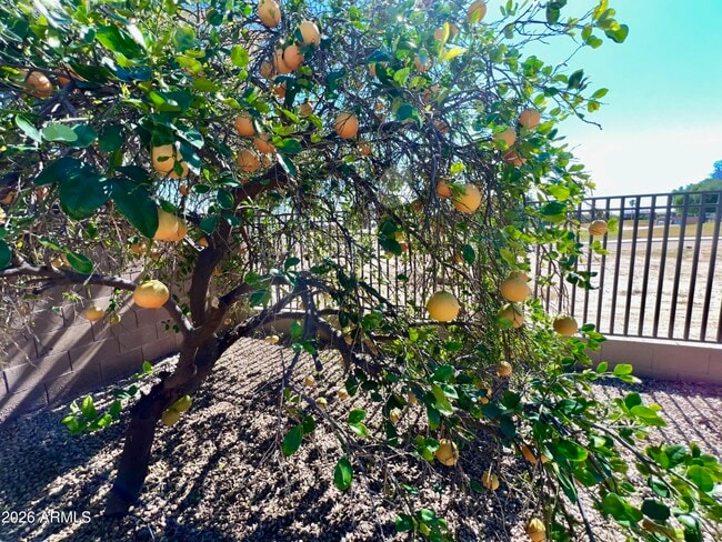 Building Photo - 14313 W Alvarado Dr