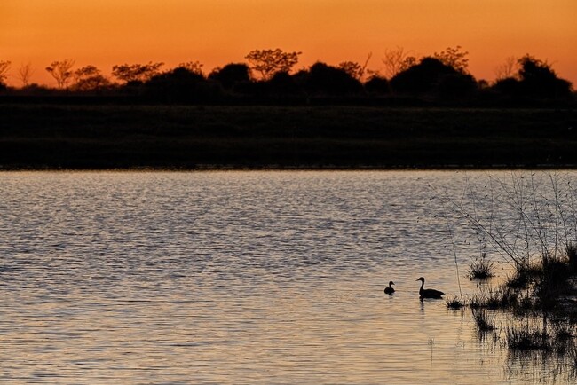 Building Photo - 16843 Old Wagon Wy