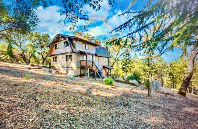 Primary Photo - AUBURN LAKE TRAILS