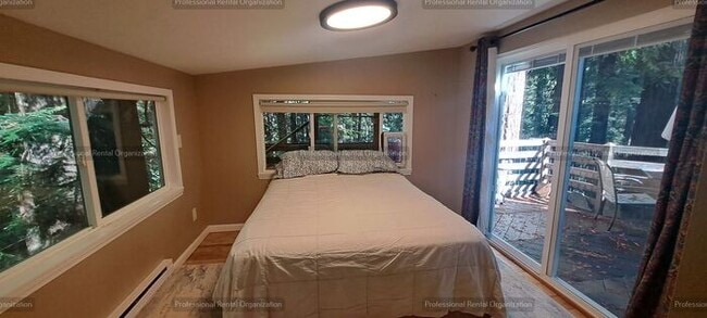 Building Photo - Sunlit Sanctuary in the Redwoods