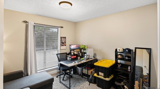 Building Photo - 3461 San Felipe Dr