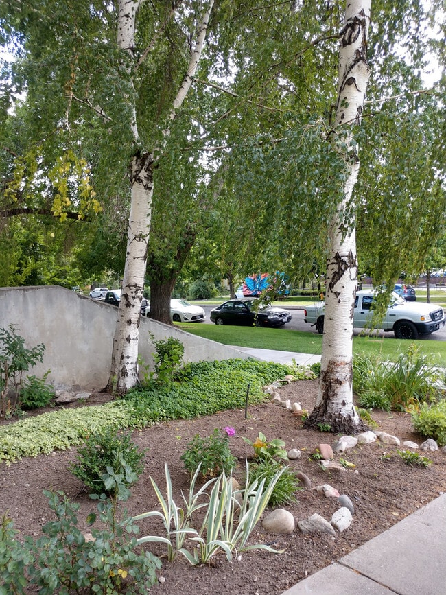 Building Photo - Downtown Deluxe 2 bd Penthouse! Views! NO HIDDEN FEES!